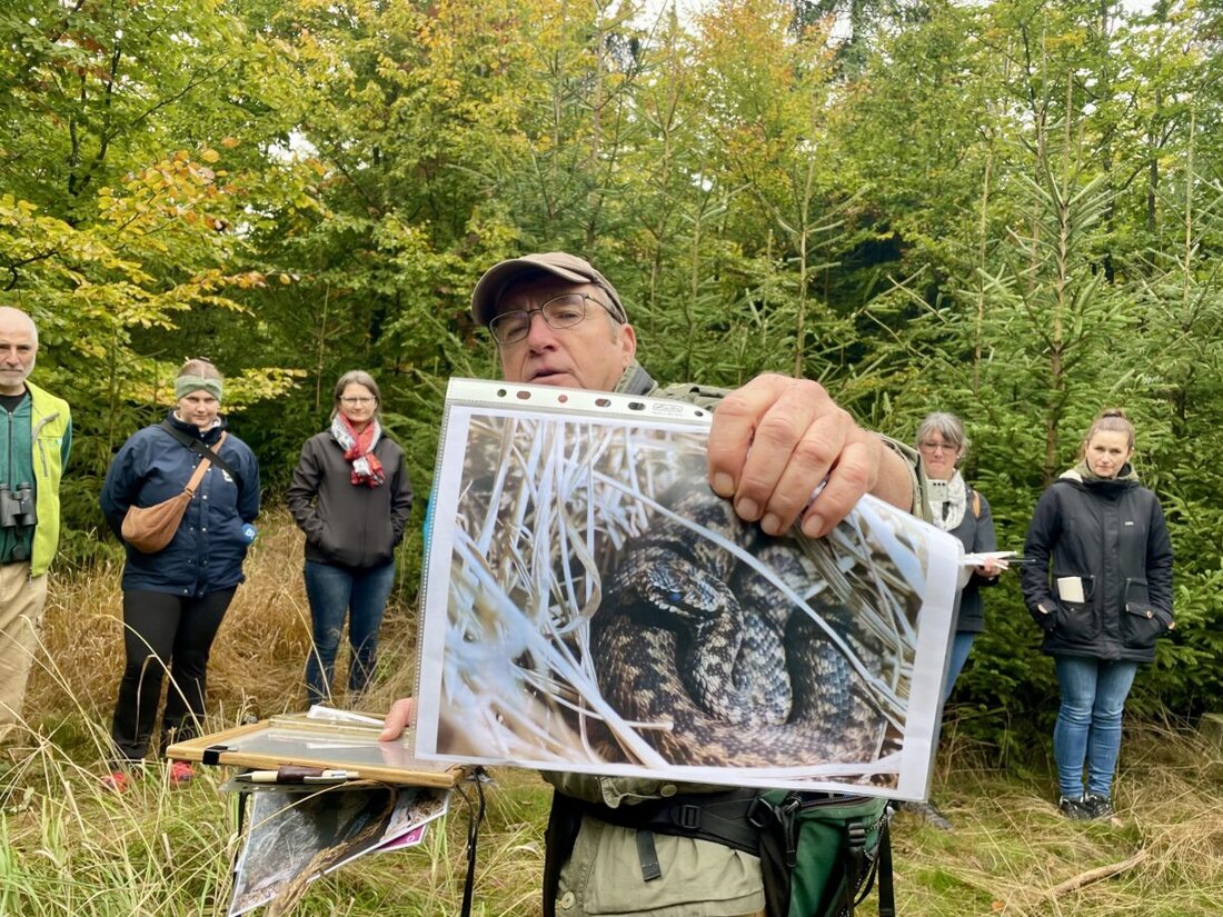 Pressath. Jahrhundertelang lebten Kreuzotter in unseren Wäldern. Zuletzt ist ihr Bestand dramatisch zurückgegangen. Ein neues Projekt soll die Oberpfälzer Ureinwohner retten. Regierung und Forst präsentieren erste Ergebnisse.
