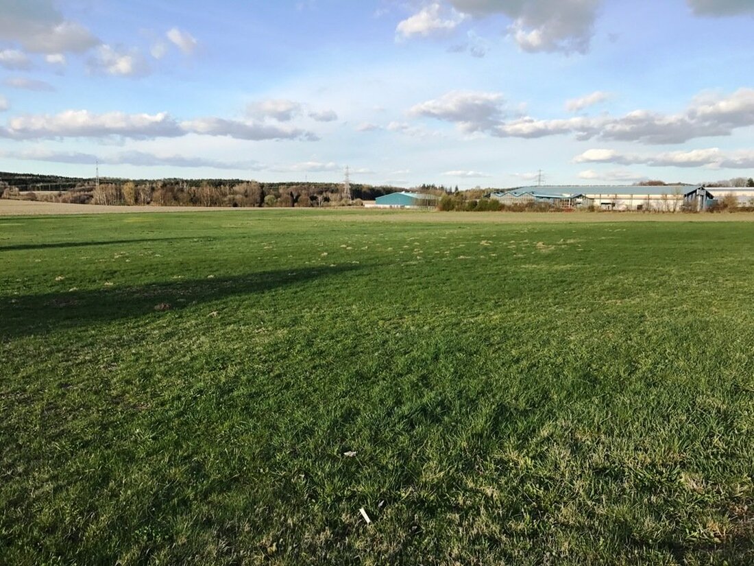 Vohenstrauß. Das wäre zu einfach gewesen: Im Paket die vier Straßennamen für das neue Baugebiet “Sommerwiesen” zu beschließen, auf die sich die Fraktionssprecher verständigt hatten. Die Mehrheit des Stadtrates wollte [&hellip;]