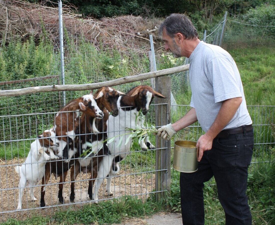 Irchenrieth. Früher war hier eine Baumschule. Heute tummeln sich die verschiedensten Tiere auf dem Hof von Manfred Urban. Und die warten beim “Tag der Tierfreunde” auf große und kleine Besucher. [&hellip;]