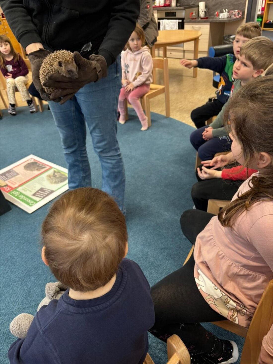 Plößberg. Der Johanniter-Kindergarten "Regenbogen" hatte Besuch von Igelbeauftragter Ramona Schröppel und ihrem Igel "Peterchen", um Kindern Tierschutz nahezubringen.