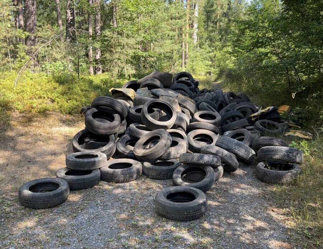 Parkstein. Zwischen Freitagabend und Samstagvormittag wurden illegal viele Altreifen in einem Wald an der Kreisstraße 2 abgeladen. Ein Spaziergänger entdeckte den Reifenberg, der Verursacher ist noch unbekannt.