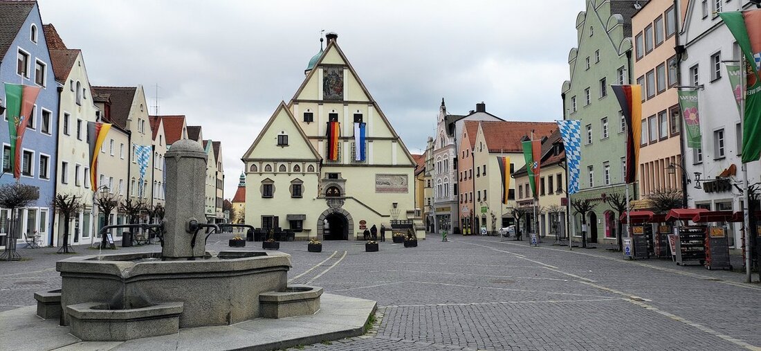 Weiden. Bei der Führung durch den stadtökologischen Lehrpfad lernt ihr das Leben in der Stadt einmal ganz anders kennen. Lasst euch von den Ritzenbewohnern in der mittelalterlichen Stadtmauer, den Turmfalken und vielen mehr begeistern.