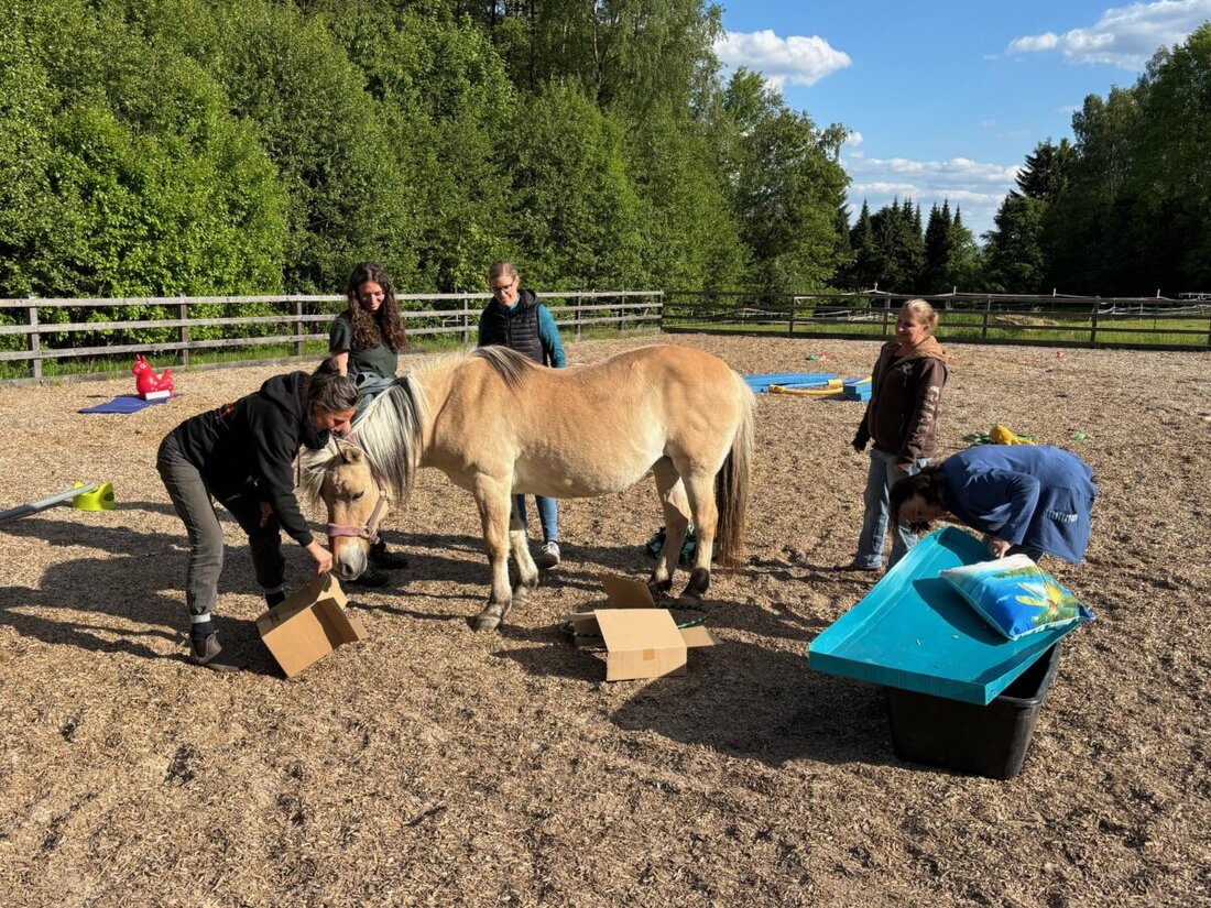 Waidhaus. Am Raunethof fand das Netzwerktreffen der Regionalgruppe Bayern Nord für Fachkräfte pferdegestützter Interventionen statt, mit Fokus auf Nasenarbeit mit Pferden. Anja Reuter führte eine Impulsfortbildung durch, die auf die emotionale und soziale Stärkung von Mensch und Pferd abzielte.