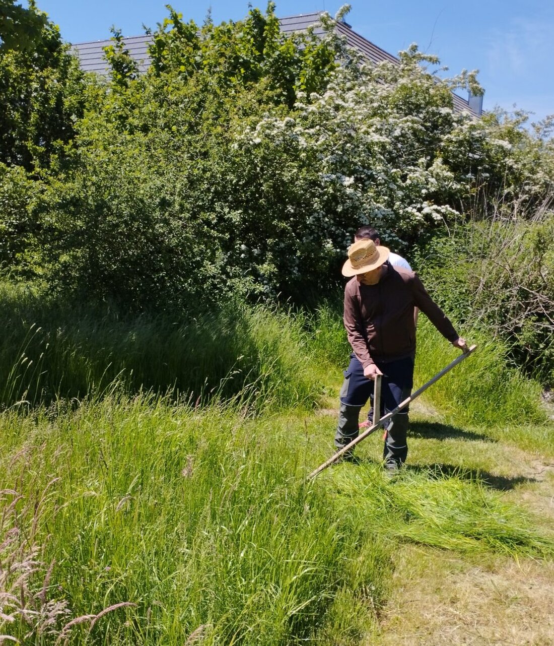 Amberg-Sulzbach. Sie haben noch eine Sense zu Hause stehen, haben das Mähen mit ihr aber nie gelernt? Dann ist der Sensen- und Dengelkurs der Öko-Modellregion Amberg-Sulzbach/Stadt Amberg und des Landschaftspflegeverbands Amberg-Sulzbach e.V. genau das Richtige. 