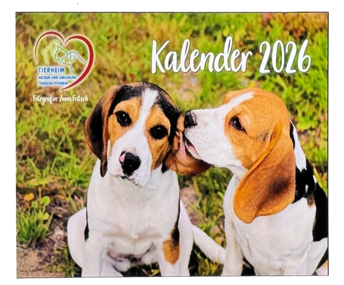 Weiden. Zufrieden blicken Vorstandschaft und Ausschuss des Tierschutzvereins Weiden auf die intensive Planungs- und Bauphase zurück. Und voraus: Im aktuell erhältlichen Jahreskalender 2026 sollten sich Tierfreunde den Mai unbedingt vormerken. ECHO berichtet, sobald der Termin für den "Tag der offenen Tür" für die Öffentlichkeit feststeht.