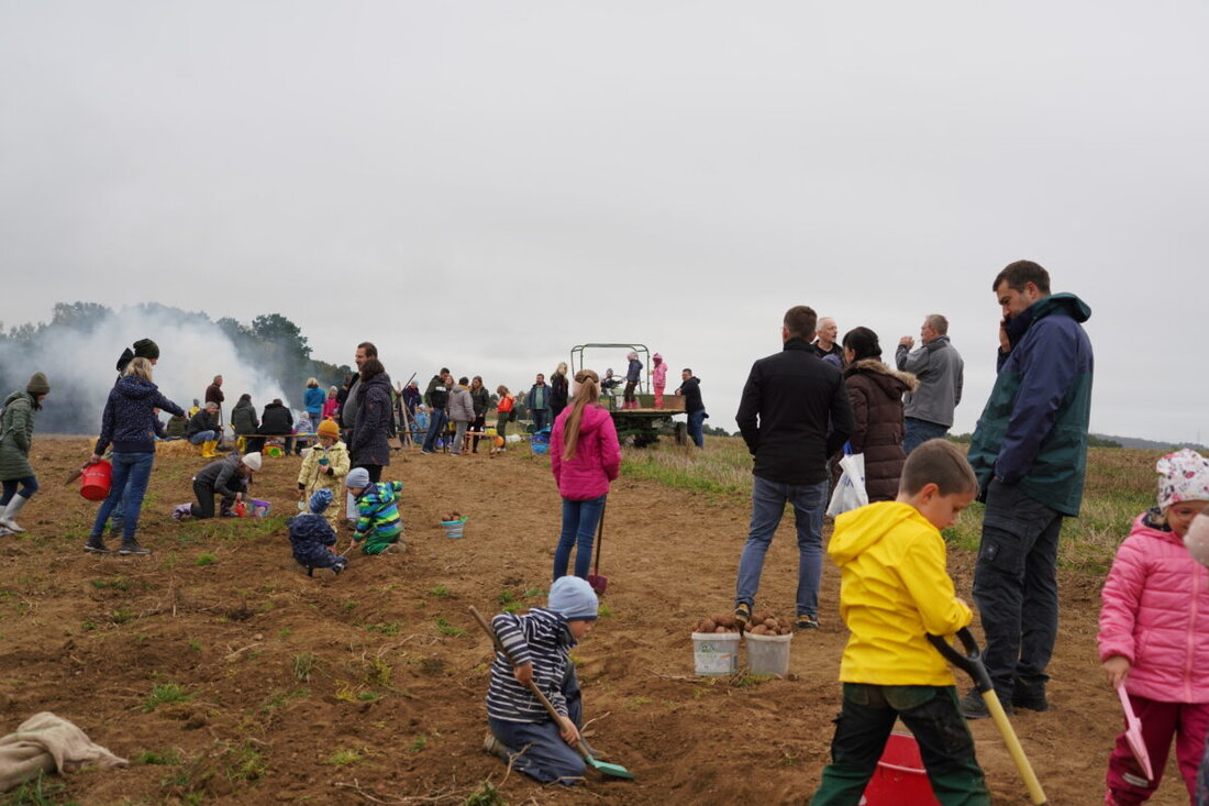 Frankenrieth. Am 29. September ab 15 Uhr veranstaltet das Junge Landvolk Waldthurn ein Kartoffelfeuer, bei dem Kinder selbst Kartoffeln ernten können. Für eine Spende gibt es Kartoffeln, Quark, Butterbrote und Getränke, keine Voranmeldung nötig.