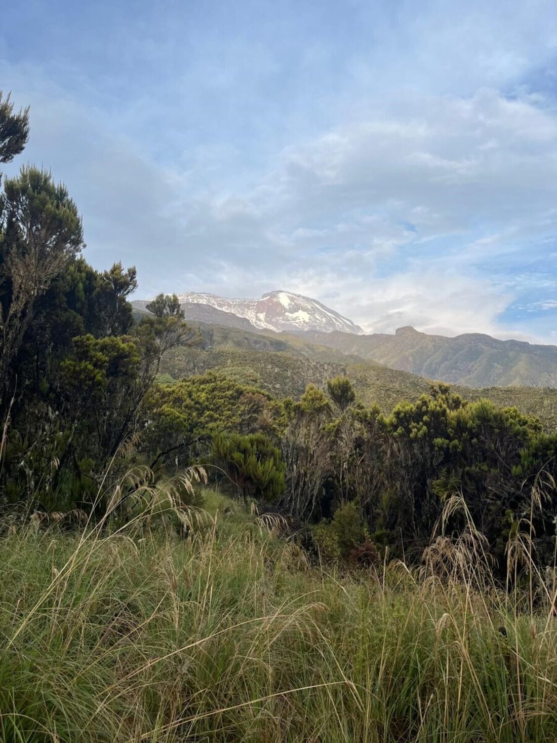 Am 16. Januar 2025 findet in Lappersdorf ein DAV-Vortrag über die Besteigung des Kilimandscharo und soziale Projekte in Tansania statt. Teilnahme ist vor Ort oder online möglich, Eintritt frei.