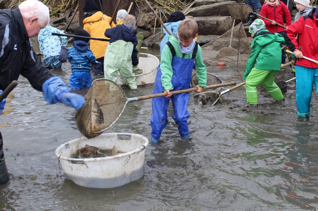 Muckenthal. Erlebniswochen Fisch 2025 bieten Kinderabfischen am 10. Oktober um 13.30 Uhr am Gowerlhof (mit Anmeldung) und eine Geisterstunde am 11. Oktober um 18 Uhr ohne Anmeldung.