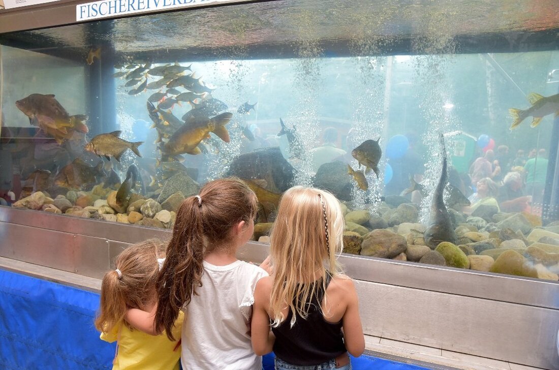 Floß. Zum 23. Fischerfest lädt der Fischerverein Floß die Bevölkerung am Sonntag, 22. Juli, auf das Vereinsgelände am Kalmreuther Weg ein. Beginn ist um 10 Uhr mit einem Frühschoppen. Bereits [&hellip;]