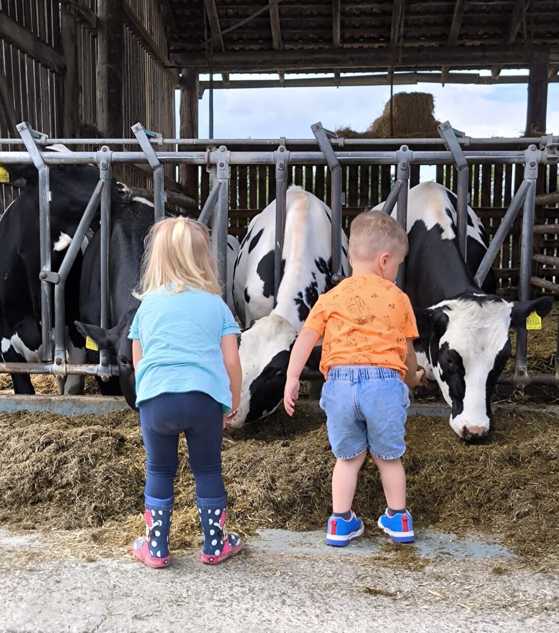 Rothenstadt. Am 17. Juli erlebten Kinder der Johanniter-Kinderkrippe „Ulrichshof“ auf dem Bauernhof der Familie Stark einen Tag voller Entdeckungen wie das Füttern von Tieren.