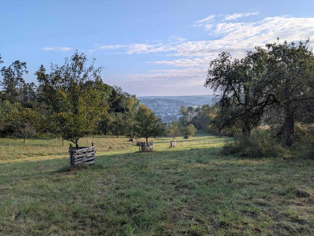 Amberg-Sulzbach. Am 6. November 2025 gibt es in Ensdorf eine kostenlose Tour auf der Streuobstwiese. Von 9 bis 11.30 Uhr für Kinder von fünf bis zehn, gern mit Eltern. Anmeldung online beim Naturpark Hirschwald, nur zwölf Plätze.