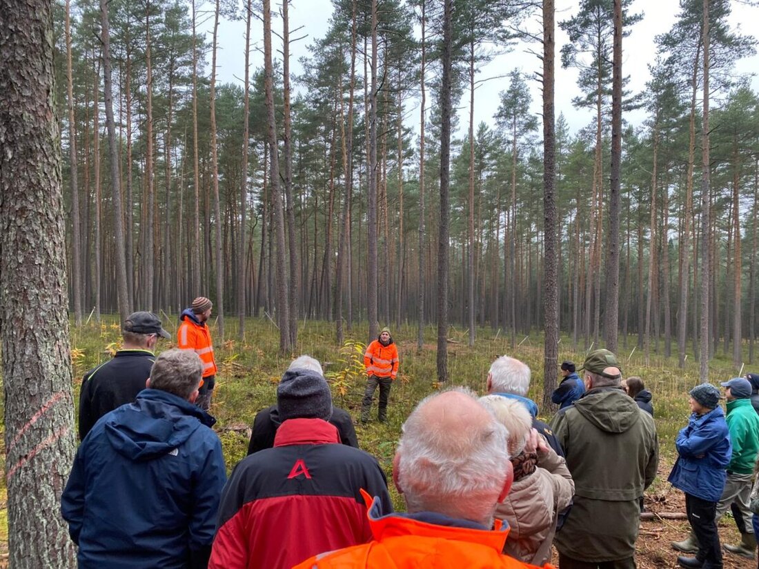 Weiden. Mehr als 40 Waldbesitzer informierten sich bei einer AELF-Veranstaltung zur Zukunft der Kiefer im Klimawandel. Experten zeigten Probleme wie Mistel- und Käferbefall und stellten Pflege- sowie Fördermöglichkeiten vor.