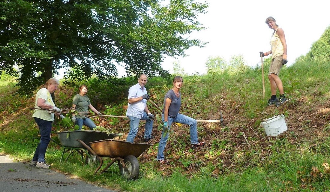 Weiden. Der Arbeitskreis StadtNatur, bestehend aus Mitgliedern und Freiwilligen des Bundes Naturschutz (BN) und des Landesbundes für Vogelschutz (LBV), haben sich zum Ziel gesetzt, die Stadt Weiden grüner und natürlicher werden [&hellip;]