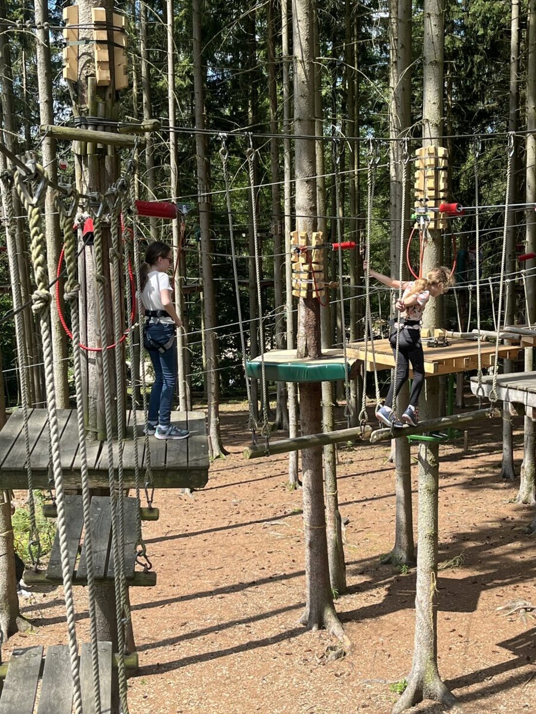 Tirschenreuth. Die Kommunale Jugendarbeit lädt am 11. Juli 2026 zur Fahrt in den eröffneten Hochseilgarten am Untreusee in Hof ein. 