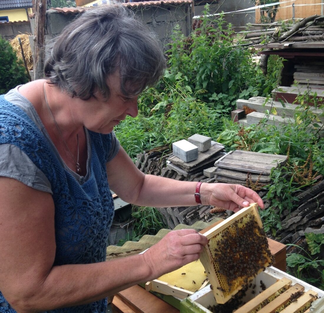 Wiesendorf/Weiden. Ein Paradies für Oberpfälzer Bienen! Auf dem Hof von Erika Brandl, Vorsitzende des Imkerverein Weiden und Erlebnisbäuerin, summt und brummt es: Denn dort sind viele fleißige Bienen unterwegs um [&hellip;]