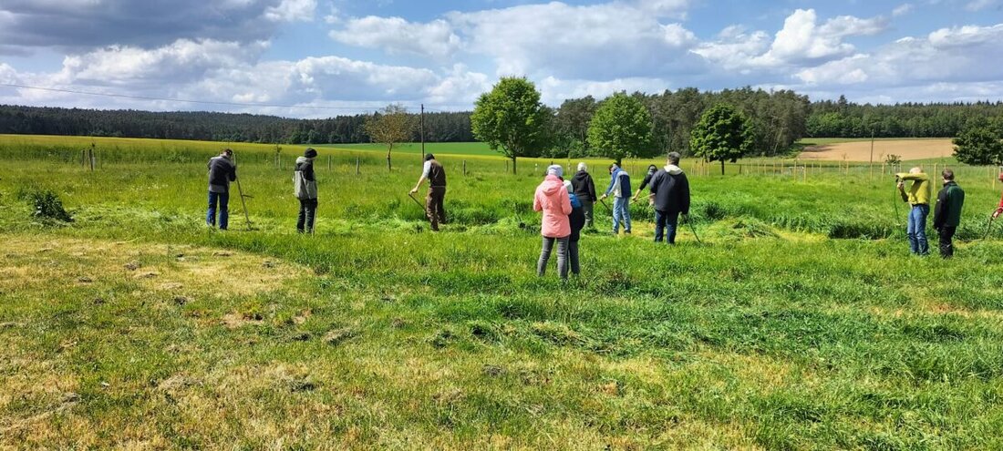 Amberg. Sensen- und Dengelkurs am 10. Oktober 2025 von 14 bis 17 Uhr am Mariahilfberg. Der Kurs ist kostenfrei, Anmeldeschluss ist 8. Oktober 2025, Teilnahme ist auf 15 Personen begrenzt.