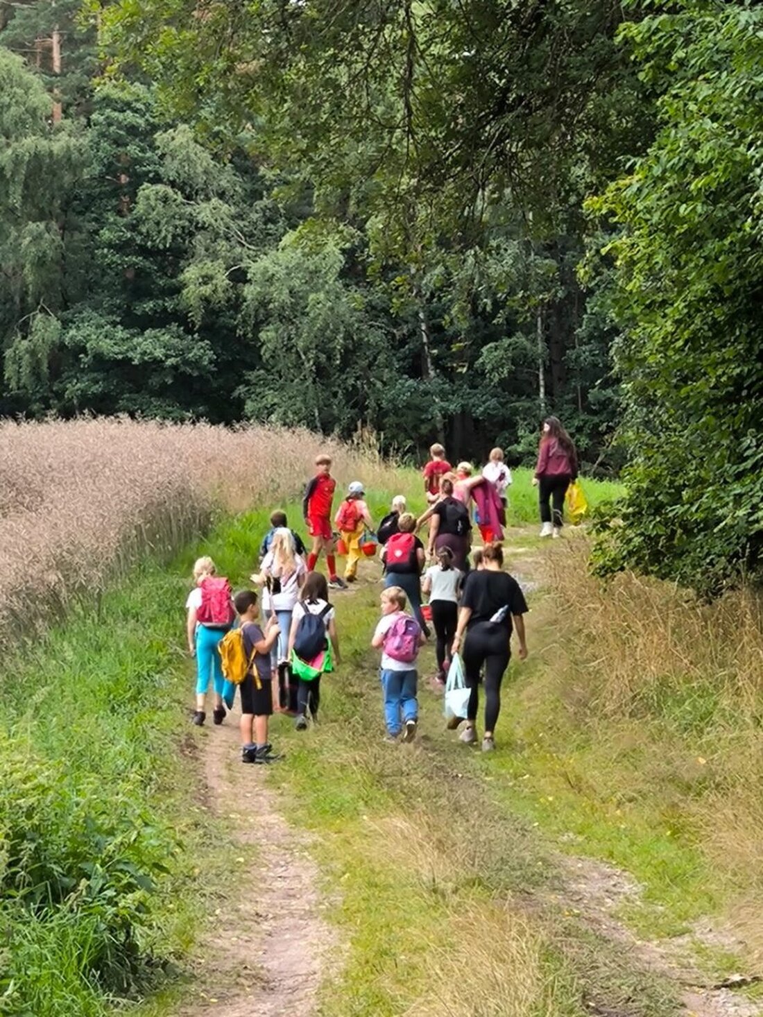 Leuchtenberg. Im Ferienprogramm erschufen 26 Kinder aus Naturmaterialien Kunstwerke und genossen ein Picknick. Sie sammelten Steine, Zweige und mehr, um Puzzles zu gestalten.
