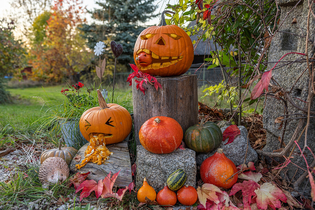 Nordoberpfalz. Wie jedes Jahr scheiden sich in Bezug auf Halloween die Geister - auf welcher Seite steht ihr? Macht mit bei unserer heutigen Abstimmung.