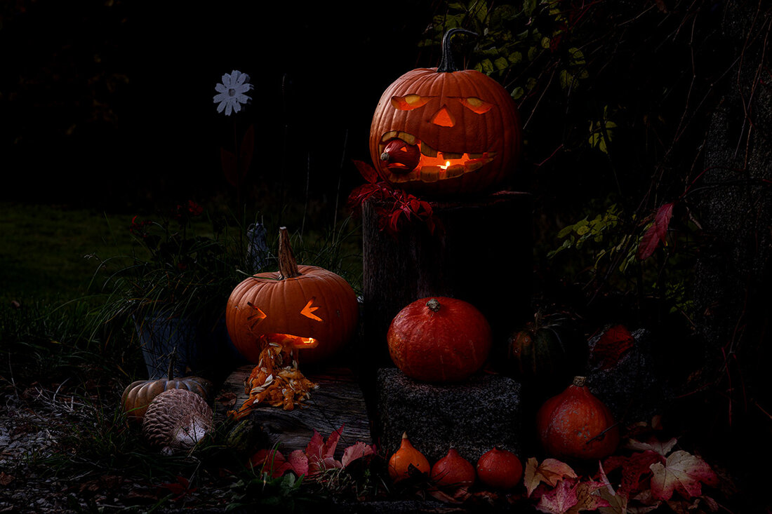 Weiden. Am 31. Oktober ist es auch in der Oberpfalz wieder soweit. Halloween. Überall leuchtet es mystisch - alles verwandelt sich. Halloween ist eine uralte Tradition, die heute noch ausgiebig gefeiert wird.
