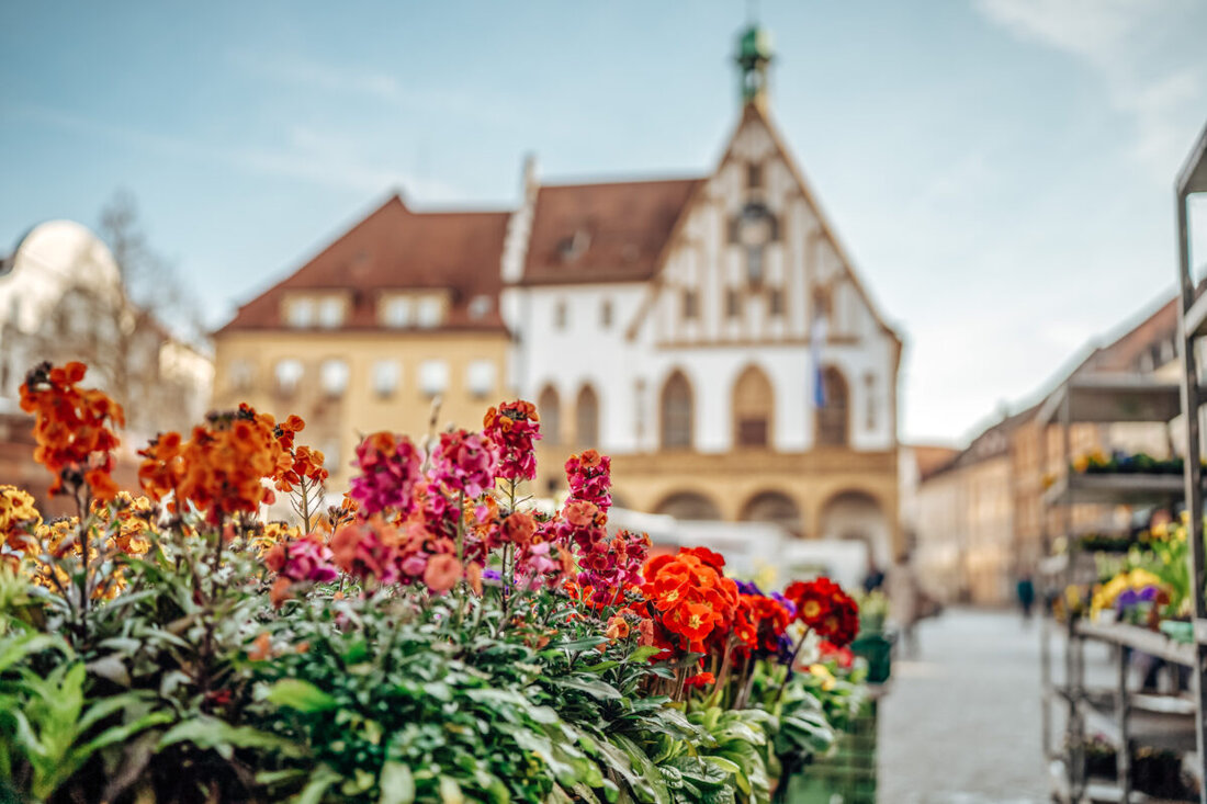 Amberg. Wegen des Feiertags "Tag der Arbeit" verlegt die Stadt den Bauernmarkt. Er findet bereits am 30. April 2026, einem Donnerstag, statt.
