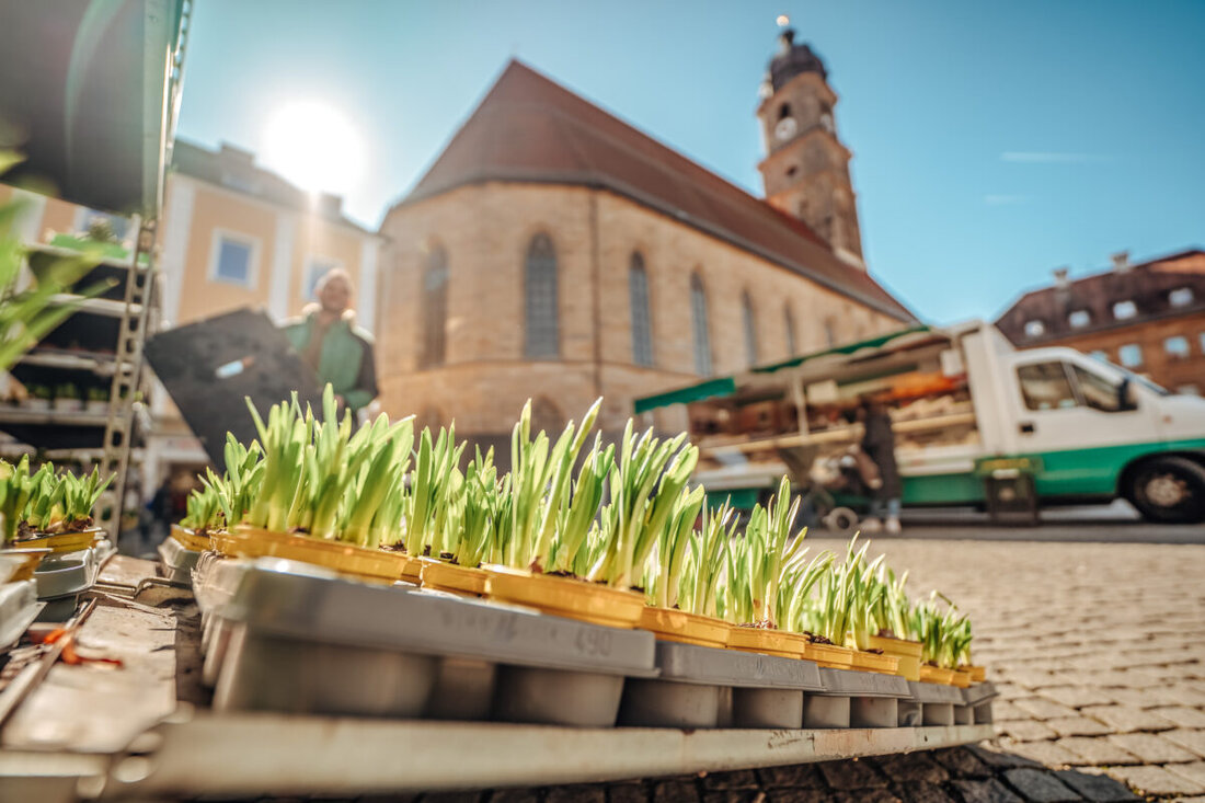Amberg. Wegen des Feiertags Mariä Himmelfahrt wird der Wochenmarkt vom Samstag, 15. August 2026, auf Freitag, 14. August 2026, vorverlegt. An diesem Tag finden Bauern- und Wochenmarkt gemeinsam statt.