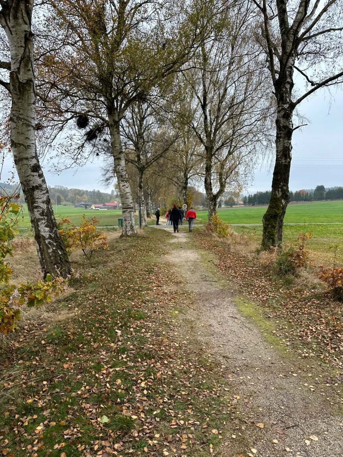 Bärnau. Am 24. Oktober 2026 startet um 14 Uhr am Parkplatz des Geschichtsparks die Spezialführung „Sagen und Legenden aus dem Bärnauer Land“. Die Tour dauert anderthalb bis zwei Stunden, Kinder bis 13 sind frei.