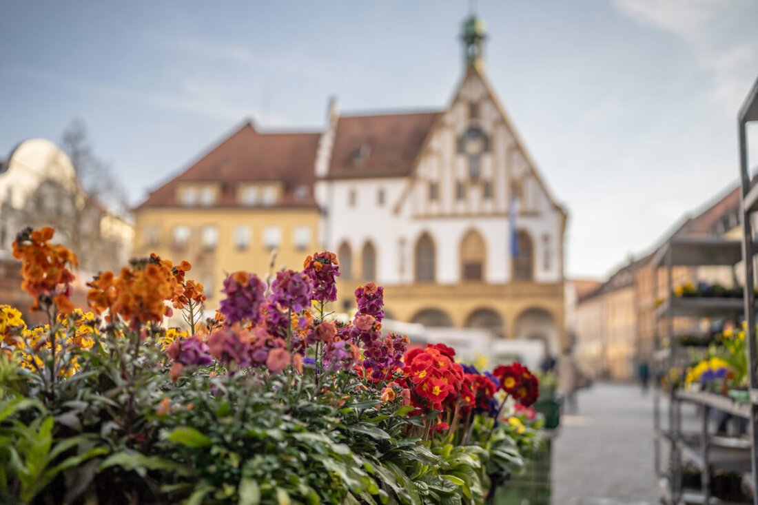 Amberg. Am Freitag, 19. Juni 2026, lädt die Stadt zum Sonnwend-Markt von 17 Uhr bis 21.22 Uhr auf den Marktplatz ein.