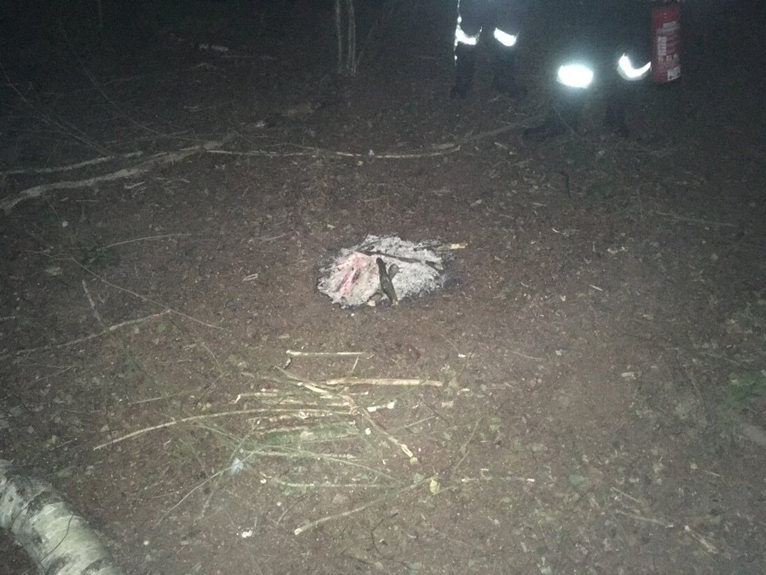 Vohenstrauß. Mitten im Wald hat jemand ein Lagerfeuer geschürt – aus Sicht von Polizei und Feuerwehr verantwortungslos.  “Absoluter Wahnsinn”, kommentiert ein Polizeisprecher aus Vohenstrauß. Mitten in einem Waldstück östlich von [&hellip;]