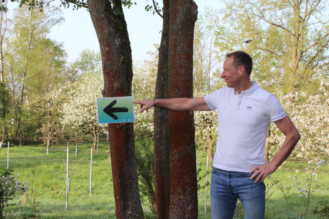 Schwandorf. Zum 18. Mal läuft die Region sich warm: Der Landkreislauf 2026 startet am 27. Juni 2026: Läufer um 8 Uhr in Reuting bei Fischbach, Walker um 9 Uhr in Schwarzach bei Nabburg. Ziel ist der Vereinsstodl in Pertolzhofen.