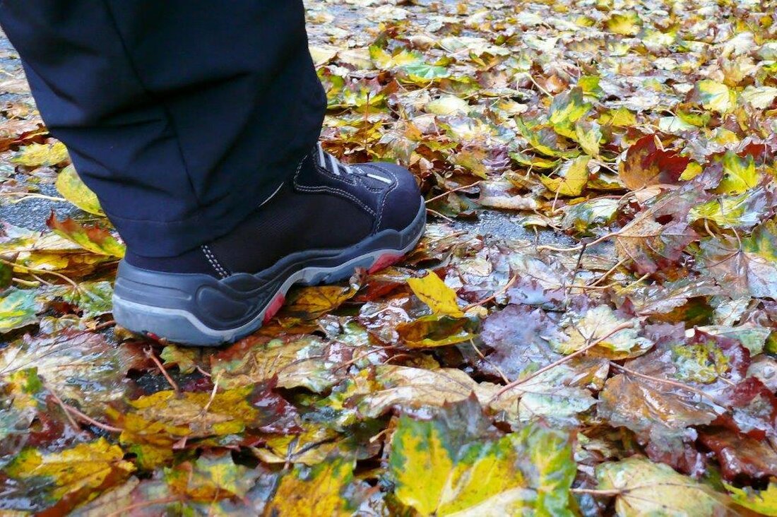 Weiden. Die Farbenpracht der Blätter im Herbst ist oft wunderschön anzusehen, sie bringen aber auch Gefahren mit sich. So kann das Laub bei Nebel und Regen ähnlich heimtückisch werden wie Eis [&hellip;]