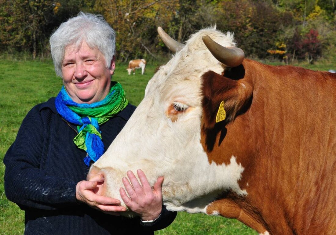 Weiden. In der Regionalbibliothek Weiden findet am 18. September 2025 eine humorvolle Lesung mit Edith Luttner statt, die von ungewöhnlichen Lebenswegen und dem Alterwerden handelt. Tickets für das Event "Lesung mit Edith Luttner: Oma dealt – Opa auch" sind auf okticket.de erhältlich.