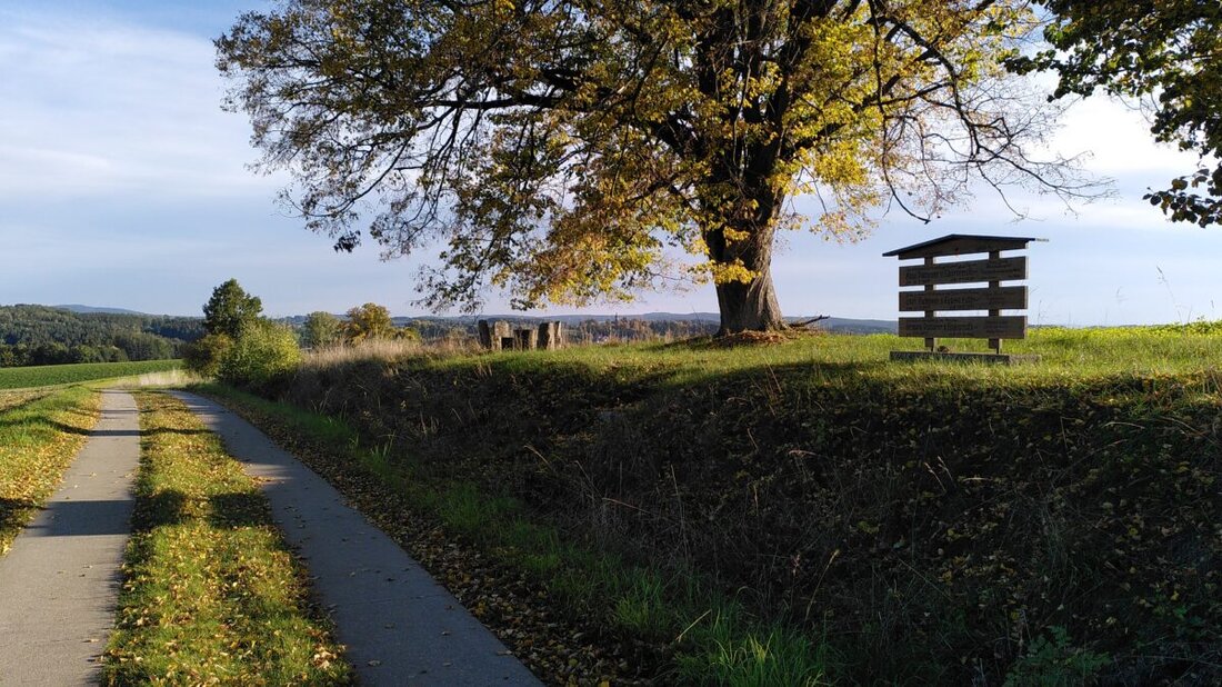 Amberg. Die Kath. Erwachsenenbildung und der Hospizverein Amberg bieten am 26. November 2024 einen Letzte Hilfe Kurs an, um Umgang mit Sterbenden zu lehren. Kosten: 10 €, Anmeldung auf keb-amberg-sulzbach.de.