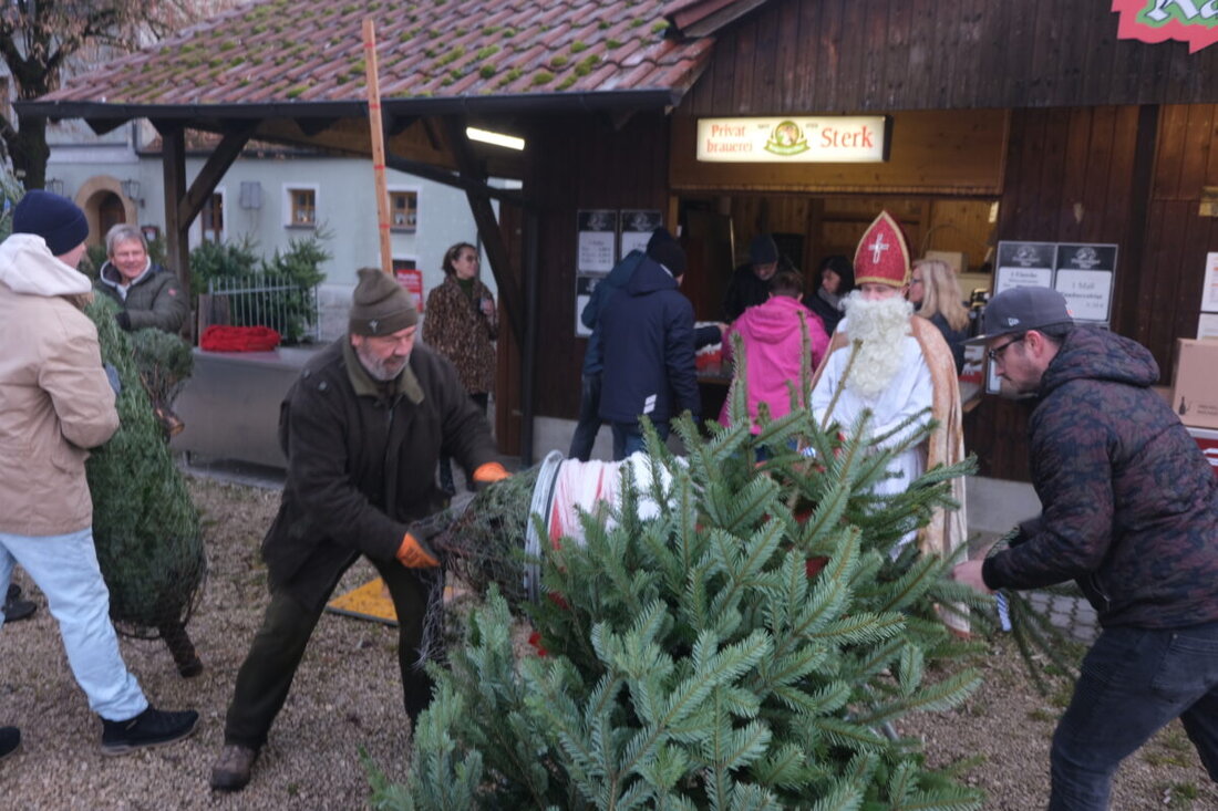 Amberg. Der traditionelle Christbaumverkauf der Lions Club Amberg-Sulzbach war auch im 31. Jahr ein finanzieller Erfolg, dank Qualität, Preis und Wetter. Die Einnahmen unterstützen lokale Kinder- und Jugendhilfeprojekte.