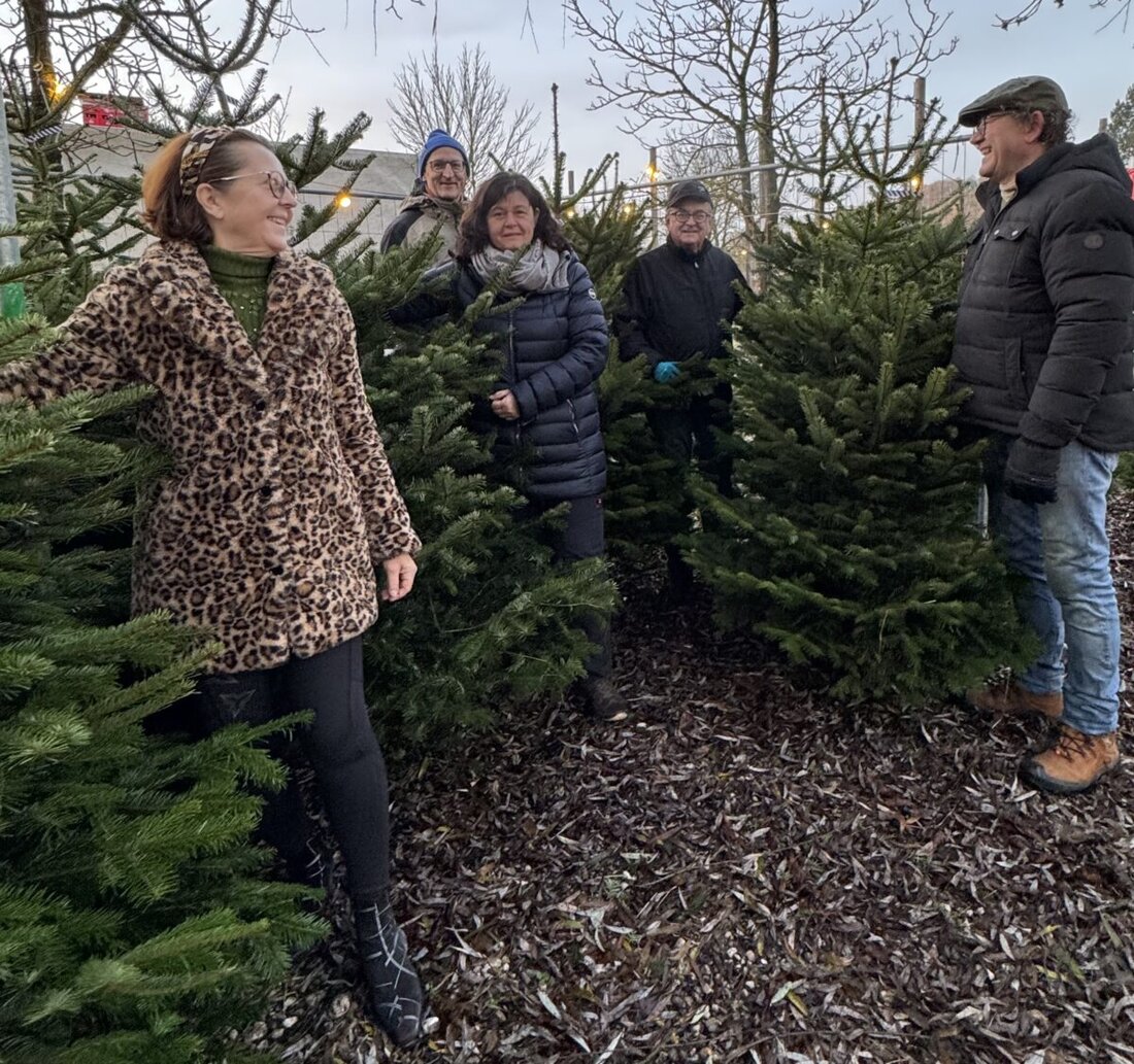 Amberg. Der Lions-Club Amberg-Sulzbach lädt am zweiten Adventssamstag, 6. Dezember, ab 8 Uhr zum 33. Christbaumverkauf bei der Brauerei Sterk in Raigering. Der Erlös kommt sozialen Projekten für Kinder und Jugendliche zugute.