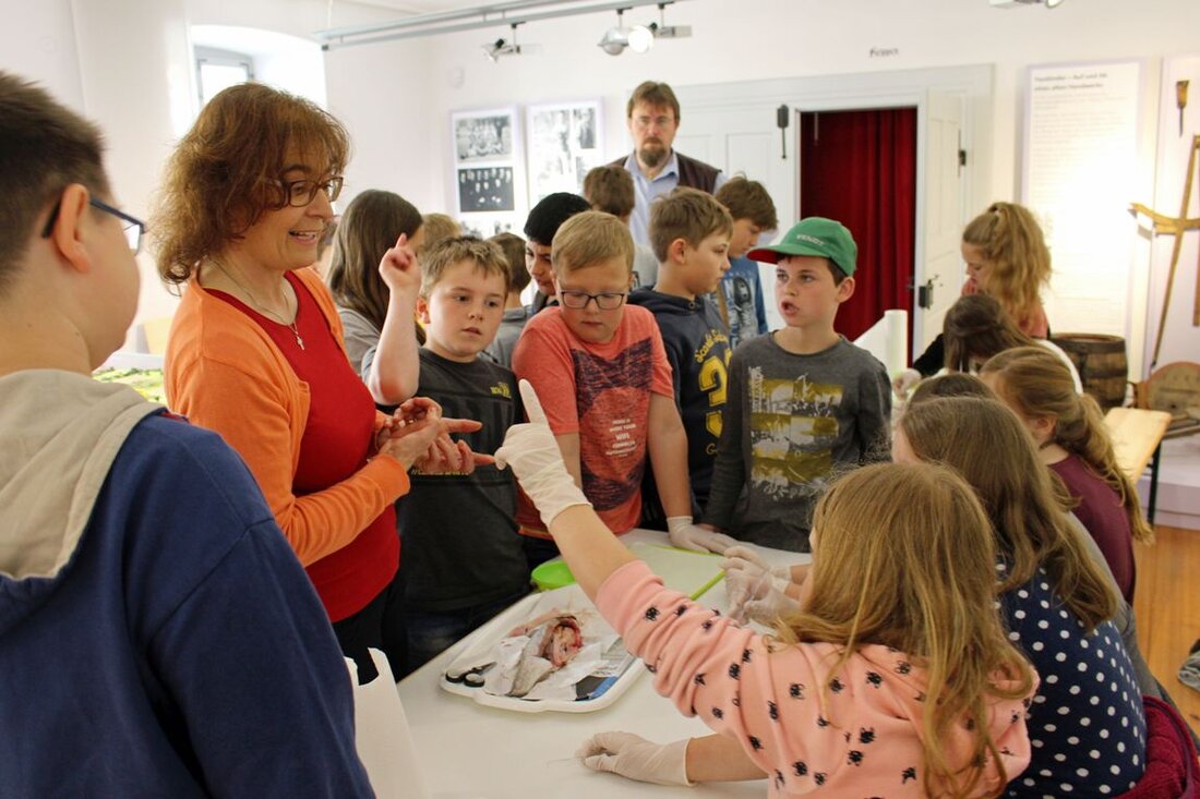 Tirschenreuth. Die AG Ökologie der Mittelschule Tirschenreuth hat ein neues pädagogisches Angebot des MuseumsQuartiers ausprobiert und war begeistert – neben einer interaktiven Aquarientour gab es nämlich die Möglichkeit mit   zu [&hellip;]