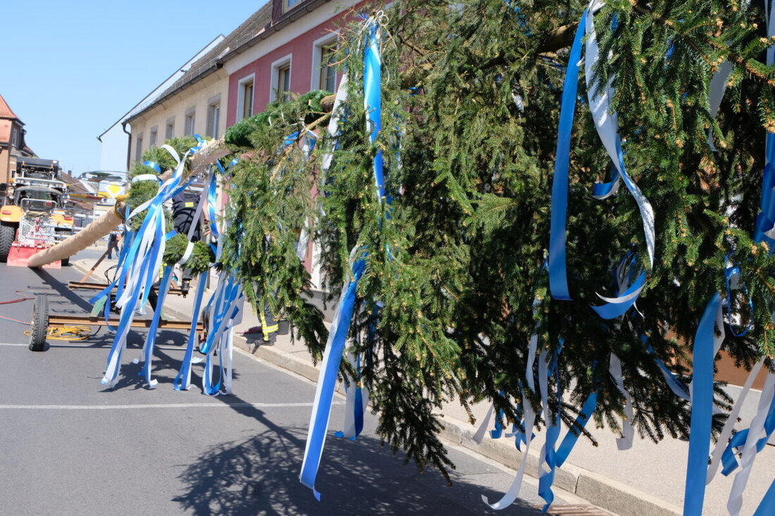 Floß. Der traditionelle Maibaum, geschmückt mit weiß-blauen Bändern und Zunftzeichen, ziert erneut das Marktzentrum in Floß.