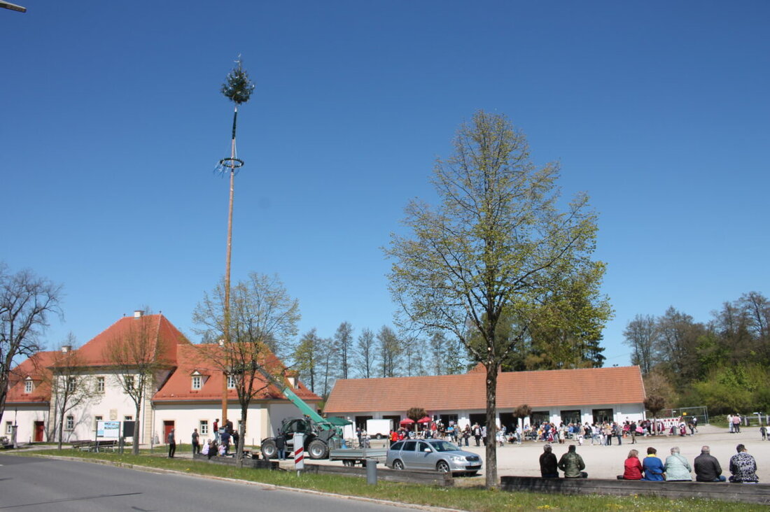 Trabitz. Beim Maibaumfest wurde am Sägeplatz ein 30 Meter hoher Stamm aufgerichtet. Rund 200 Gäste sahen Tänze der Haidnaabtaler und der Kita-Kinder, dazu gab es Grillgut, Kuchen, Popcorn und Zuckerwatte.