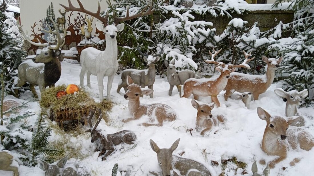 Floß. Über Nacht hat der Winter den Garten von Christina Kreuzer in eine weiße Bühne verwandelt. In ihrer Wald-Szenerie bestaunen Besucher real wirkende Hirsche, Rehe, Füchse und Hasen in glitzerndem Schnee bis März.