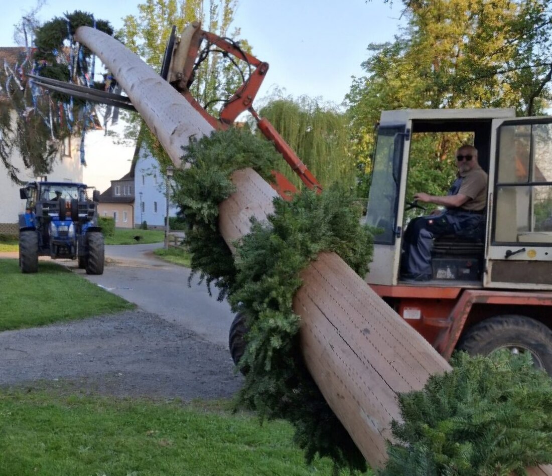 Mallersricht. Mit Posaunenklängen und Muskelkraft stellte die Freiwillige Feuerwehr Mallersricht einen 32 Meter hohen Maibaum auf, den höchsten in Weiden.  