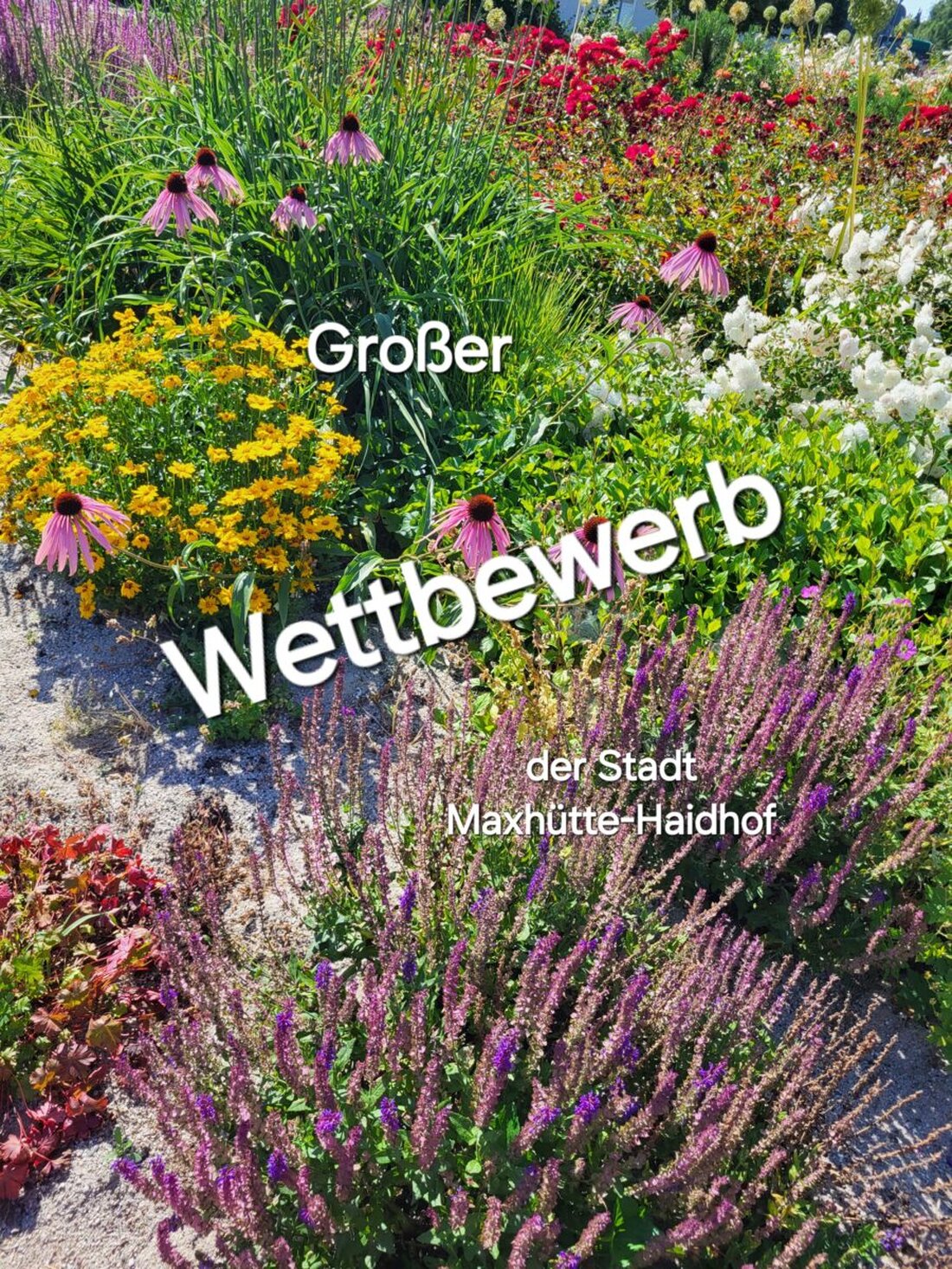 Maxhütte-Haidhof. Die Stadt schreibt die dritte Kategorie ihres Wettbewerbs für naturnahe Gärten aus, Bewerbungsende ist der 16. März 2025. Ziel ist es, Neubau-Besitzer zu insektenfreundlichen Gärten ohne Schotter zu motivieren.