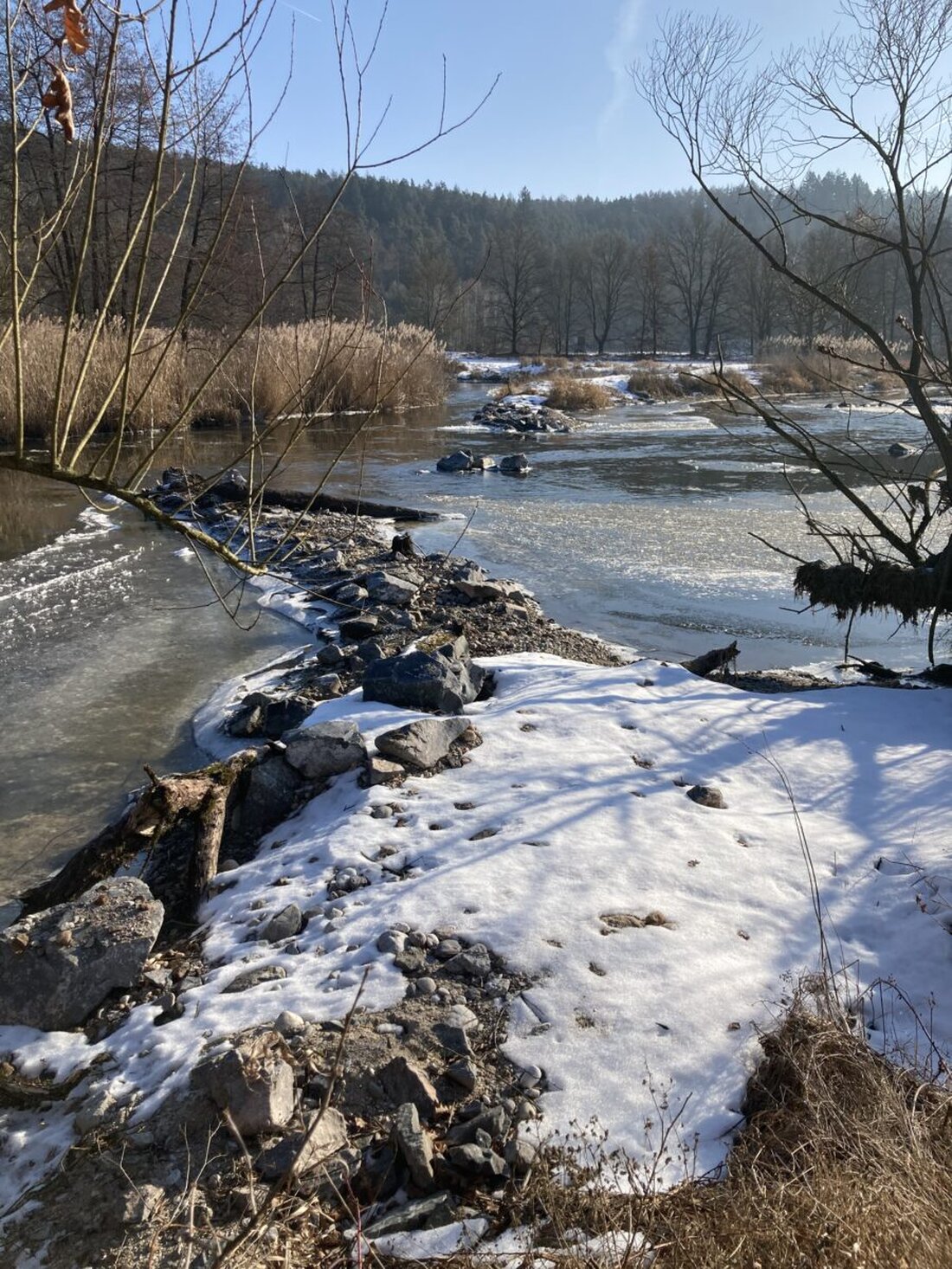 Luhe-Wildenau. Das Wasserwirtschaftsamt Weiden startet bald an der Naab bei Grünau eine naturnahe Ufergestaltung mit Buhnen und Kiesinseln. So steigt die Artenvielfalt und die WRRL-Ziele bis 2027 rücken näher.
