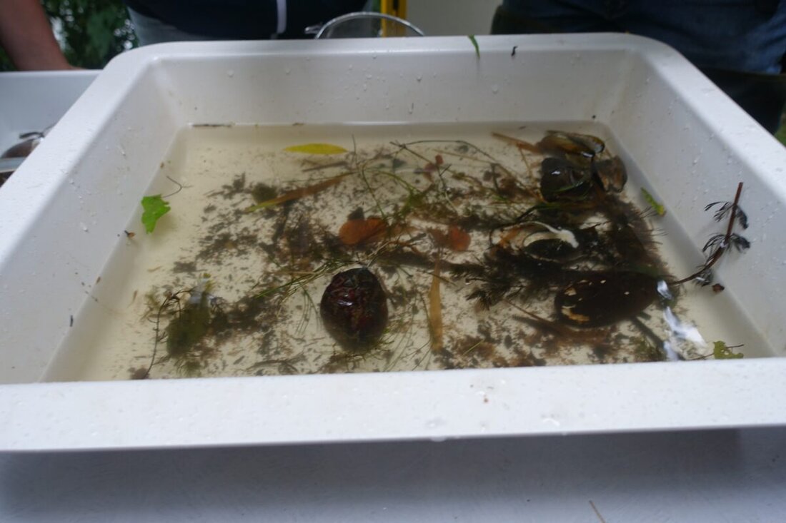 Nabburg. 70 Schüler des Johann-Andreas-Schmeller-Gymnasiums lernten beim Aktionstag „Wasser“ nachhaltigen Umgang mit Wasser. Sie betrachteten Wasserkreislauf, Wasserorganismen und Bodenkunde als Teil der BayernTourNatur.