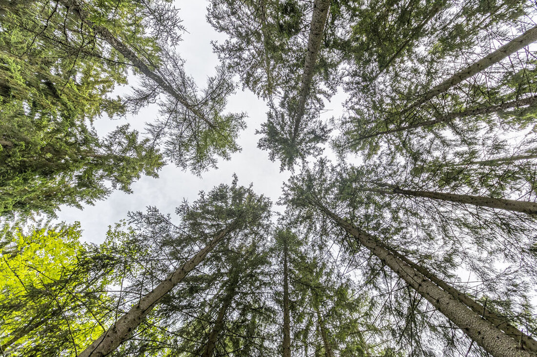Weiden. Beim kommenden Online-Treffen der CoP Gesundheitsförderung und
Prävention wird der mentalen Gesundheit die Bühne gegeben, die sie
verdient – mit einem offenen Blick auf innovative Versorgungsansätze,
digitale Lösungen und die Kraft der Resilienz in herausfordernden
Zeiten.