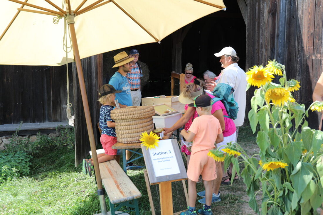 Neusath-Perschen. Am Sonntag, 30. August, lädt das Freilandmuseum Oberpfalz zum großen Naturentdeckertag für alle Generationen ein. Ab 13 Uhr warten neun Entdeckerstationen mit spannenden Aktionen rund um Artenvielfalt und Naturschutz.