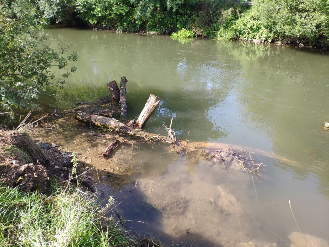 Unterschwaig. Das Wasserwirtschaftsamt Weiden gestaltet in den nächsten Wochen den Rosenbach naturnah um. Strukturelemente und neue Gehölze sorgen für mehr Leben im Fluss und kühlen das Wasser.