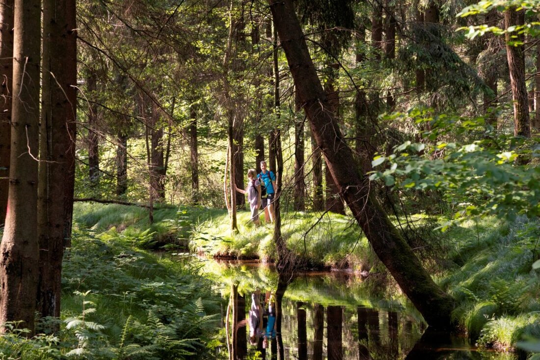 Vohenstrauß. Ein Highlight für Wanderer und Kulturbegeisterte: Der Glasschleifererweg. Der zertifizierte Wanderweg wird im Sommer feierlich eingeweiht. Mit 80 Kilometern Länge kombiniert der Rundwanderweg entlang von Zott, Pfreimd und Tröbesbach auf einzigartige Weise Naturerlebnis und Kulturgeschichte.