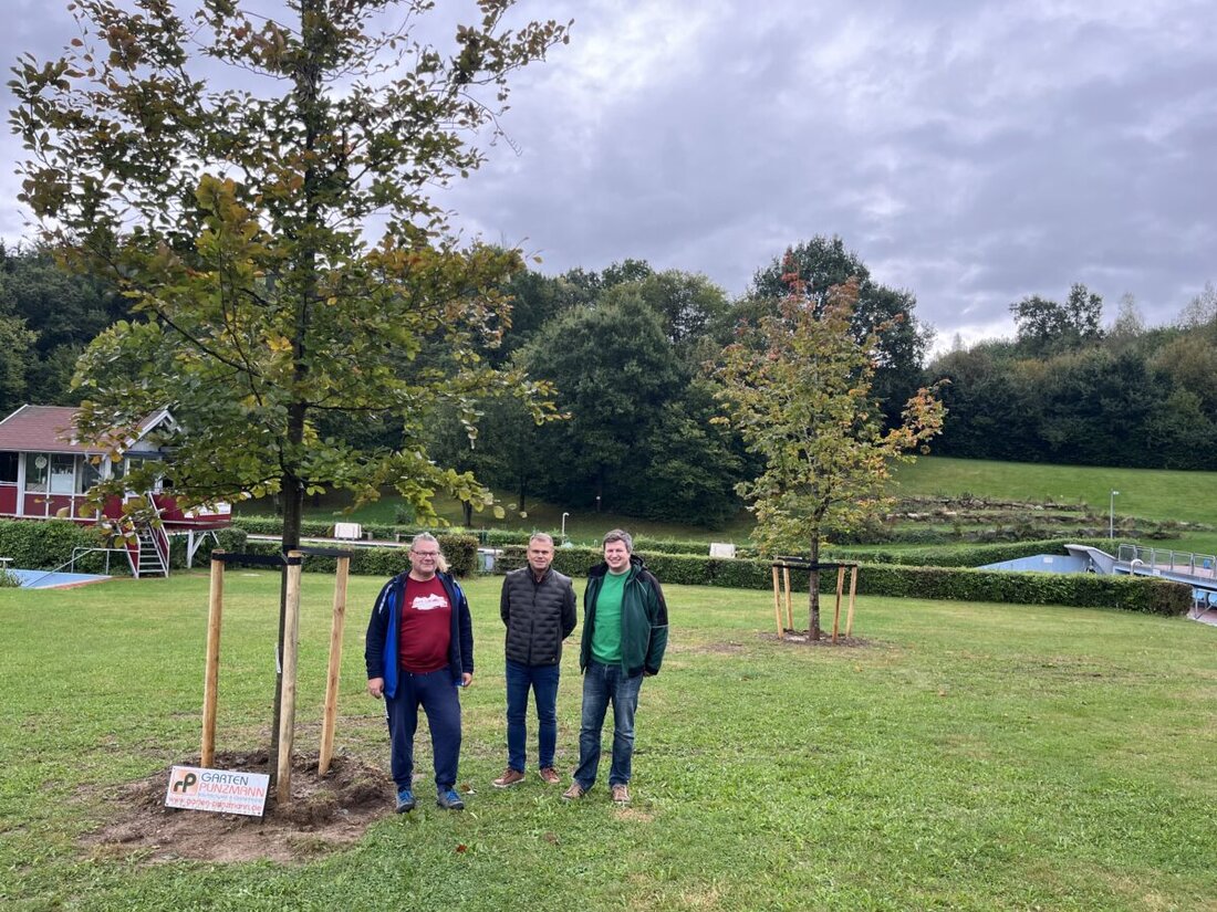 Windischeschenbach. Das Freibad erhält zwei neue Bäume zur Beschattung, gespendet von Felix Punzmann. Sie werden den Besuchern angenehmen Schatten bieten und das Freibad attraktiver machen.