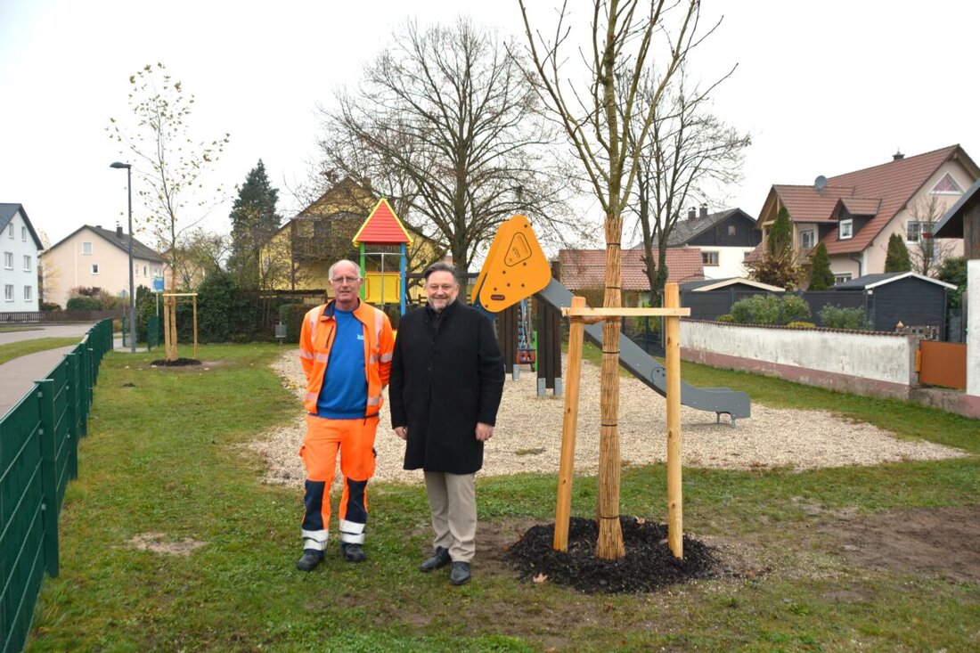 Teublitz. Am Spielplatz in Katzdorf wurden Anfang November zwei neue Bäume gepflanzt, um in den heißen Monaten Schatten zu spenden.