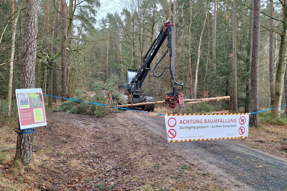 Eschenbach. Neue Hinweismaterialien für Waldarbeiten wurden eingeführt, um Akzeptanz für Absperrungen bei Waldbesuchern zu erhöhen und Informationen über die Arbeiten und Sicherheitsmaßnahmen zu bieten.