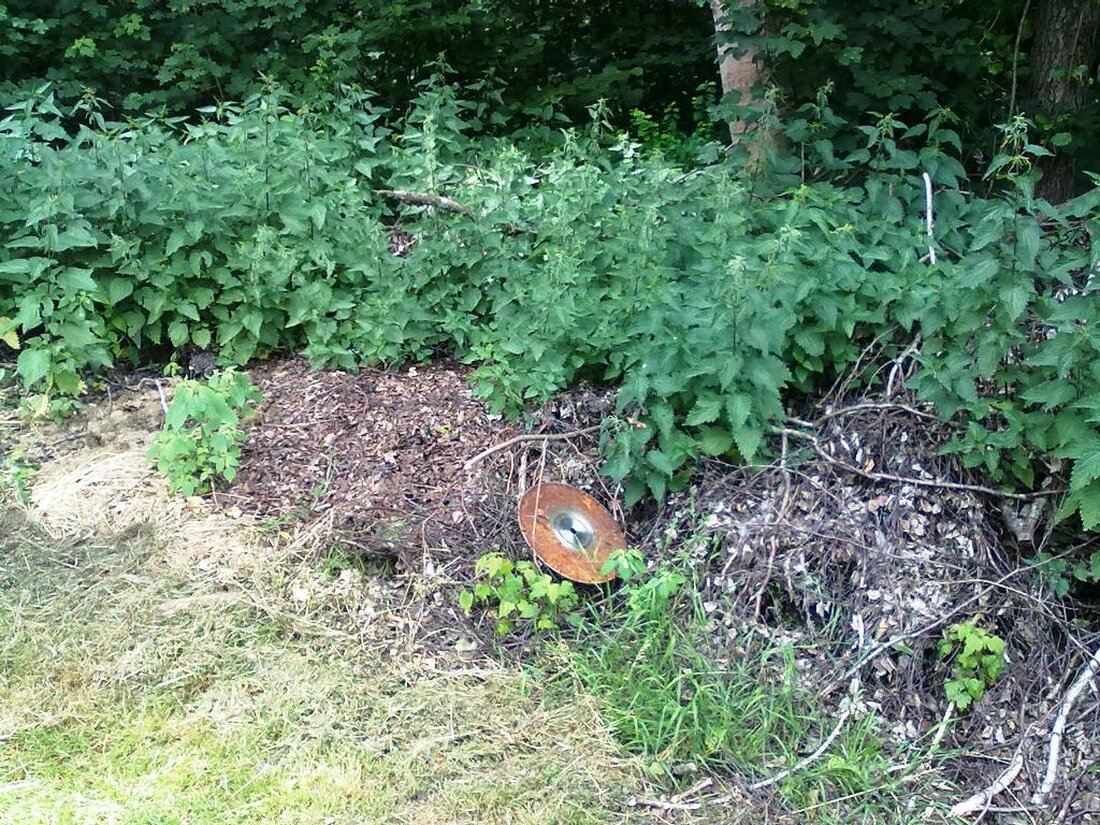 Neustadt/WN. An Waldrändern und in der Nähe von Forst- und Flurwegen findet sich immer wieder Grüngut und sonstiger Abfall der dort abgeladen wurde. Das Landratsamt Neustadt an der Waldnaab weist darauf [&hellip;]